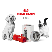 Кот и собака сидят в окружении предметов для ухода за питомцами в символике Royal Canin